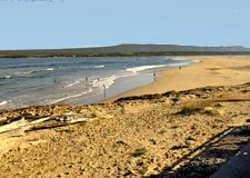 Stroll on the beach in Witsand