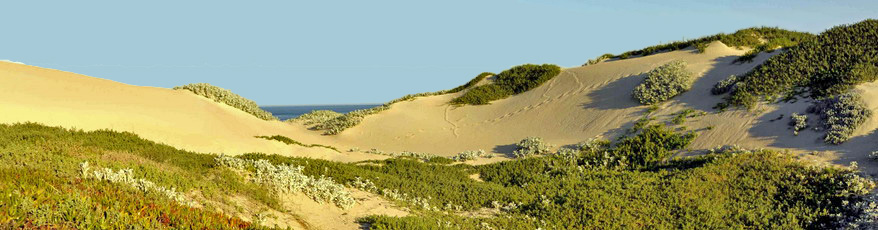 Seaview across the dunes - Whale Watchers Inn, Witsand